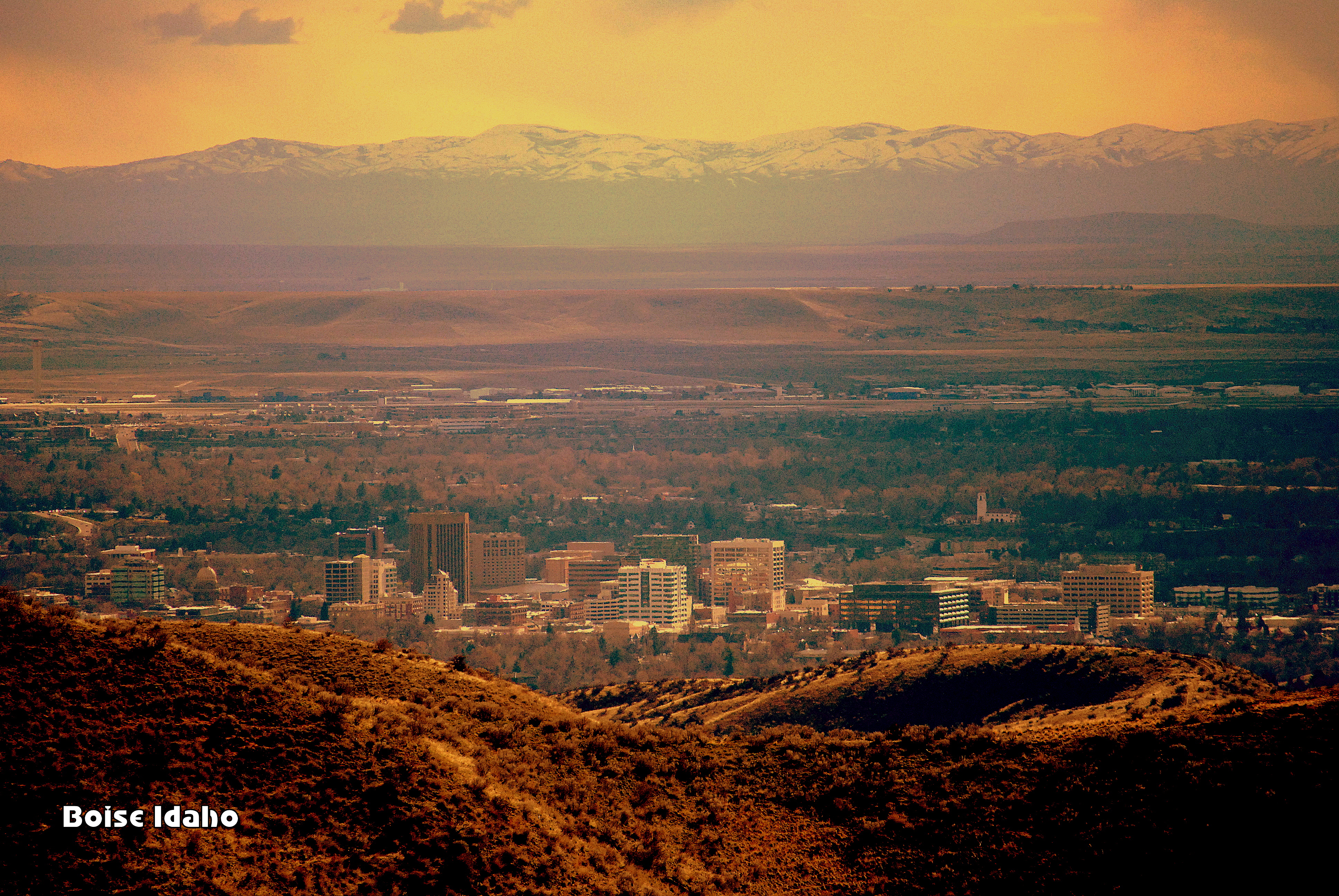 Boise Idaho Real Estate Agent